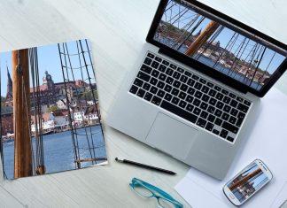 PushYourDesign.com: The Visionary World of Sophia Richards pushyourdesign.com