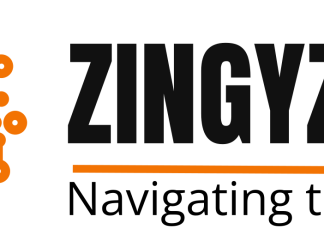 Zingyzon.com: Australia’s Ultimate Blogging Destination zingyzon.com