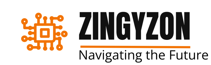 zingyzon.com
