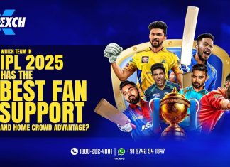 Which team in IPL 2025 has the best fan support and home crowd advantage? TATA IPL 2025 match prediction