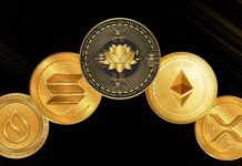 Top 5 Altcoins to Watch This Bull Market – BDTCOIN Makes the List Altcoin