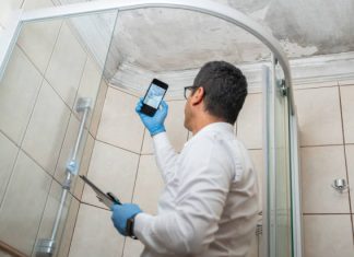 Ensure a Healthy Home with Professional Mold Inspection Tampa Services mold inspection tampa