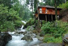 Coorg Calling: A Journey into the Lush Soul of Karnataka package trip to coorg
