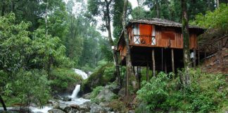 Coorg Calling: A Journey into the Lush Soul of Karnataka package trip to coorg
