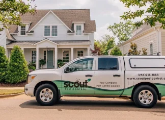 What Are The Signs Huntsville Pest Control Specialists Look For During Inspections pest control Huntsville AL