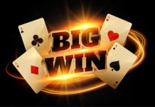 A Look at the Diverse and Exciting Themes in the PGSLOT88 Library PGSLOT88