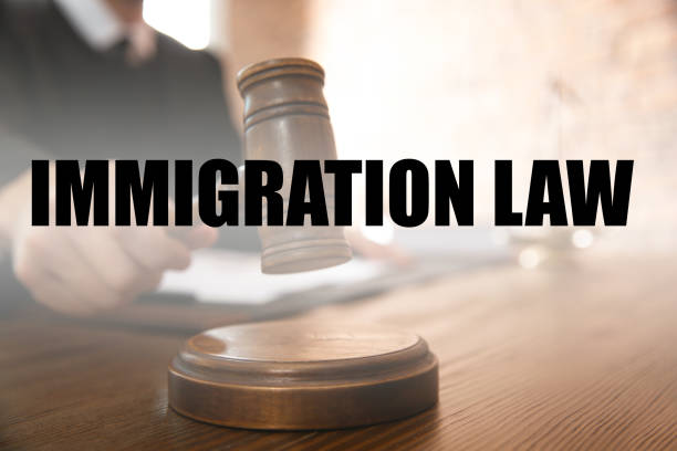 Immigration Habeas Corpus Attorney Immigration Habeas Corpus Attorney