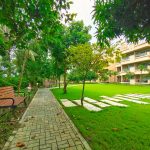 Nutrition for Elderly Adults: Building Strength and Vitality Through the Right Diet in a Premium Senior Living Community premium old age homes in India